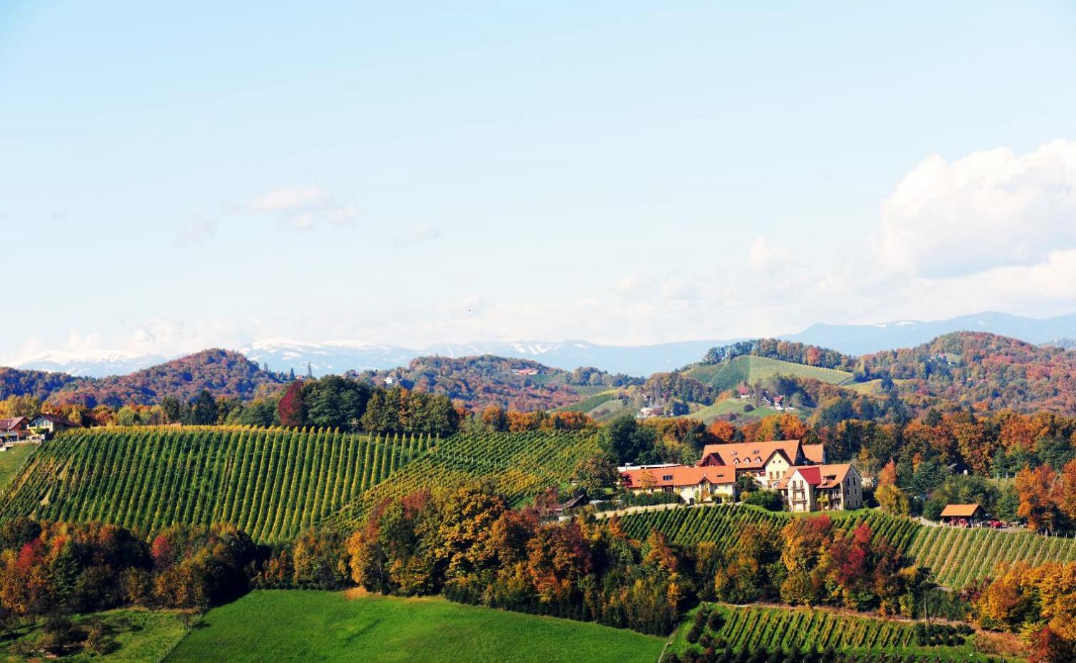 Sattlerhof Geniesserhotel & Weingut Hotel